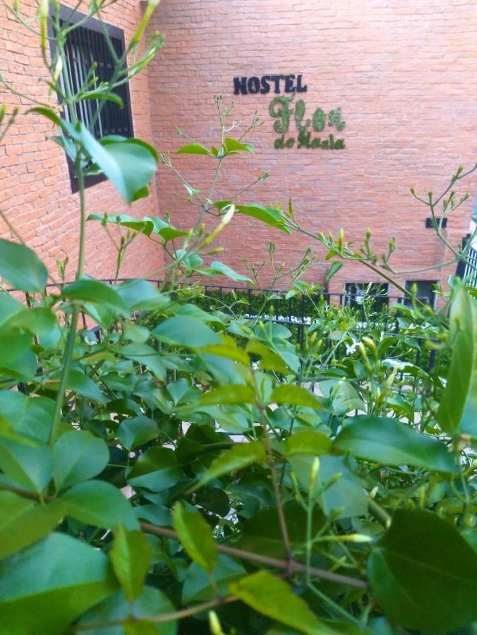 Hostel Flor De Maria - Sao Paulo — Photos 3